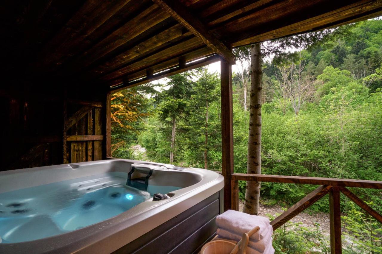 Novosiele Residence - Nad Gorska Rzeka - Lesne Spa Sauna Jacuzzi - Bieszczady Bystre  Extérieur photo