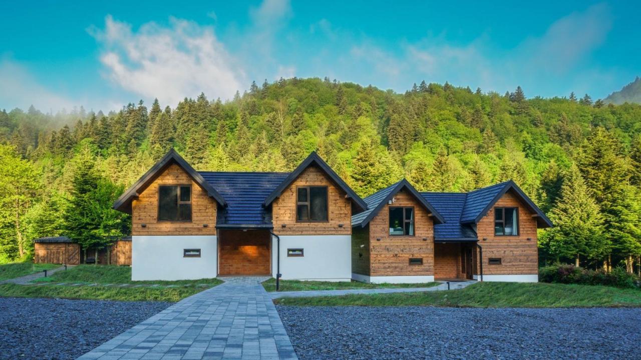 Novosiele Residence - Nad Gorska Rzeka - Lesne Spa Sauna Jacuzzi - Bieszczady Bystre  Extérieur photo