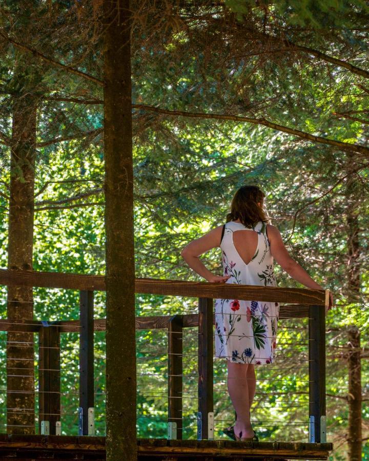 Novosiele Residence - Nad Gorska Rzeka - Lesne Spa Sauna Jacuzzi - Bieszczady Bystre  Extérieur photo