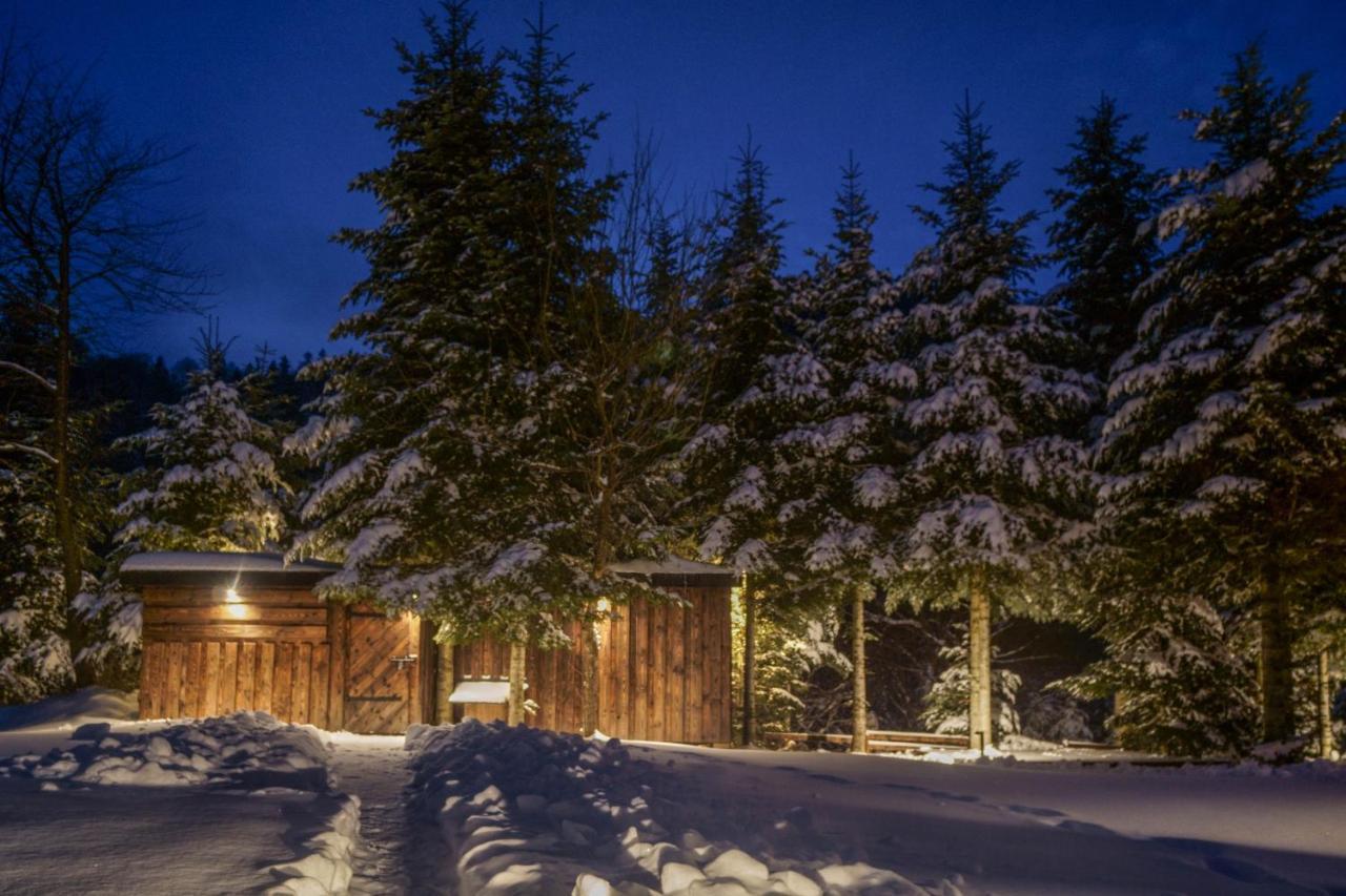 Novosiele Residence - Nad Gorska Rzeka - Lesne Spa Sauna Jacuzzi - Bieszczady Bystre  Extérieur photo